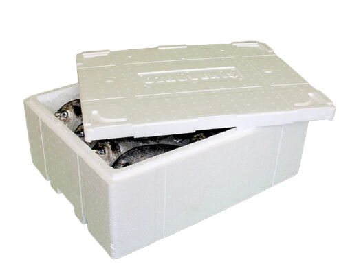 1 Adet 580*386*267 mm Köpük Kutu 17 Kg'lık