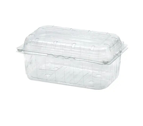 600 Adet 500 ml Şale Kabı